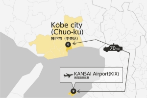 KIX and Kobe Private Transfer