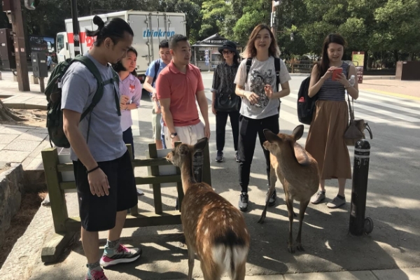 Nara Park