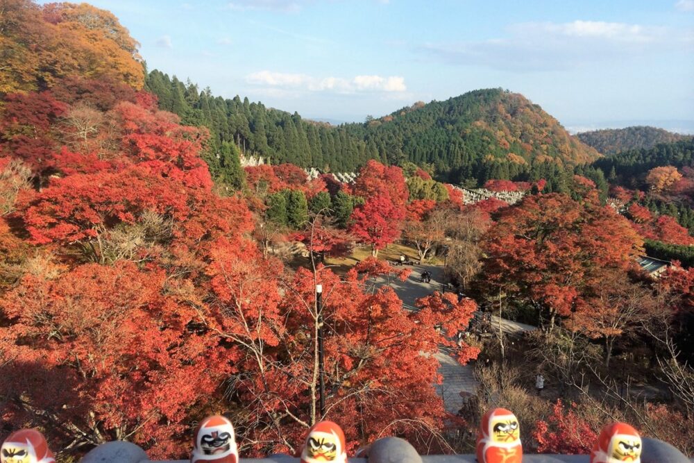 Autumn foliage at Katsuo-ji Temple with vibrant red and yellow leaves