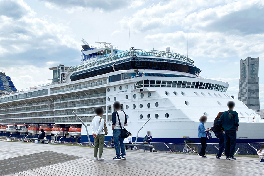 Port Cruise Private Transfer
