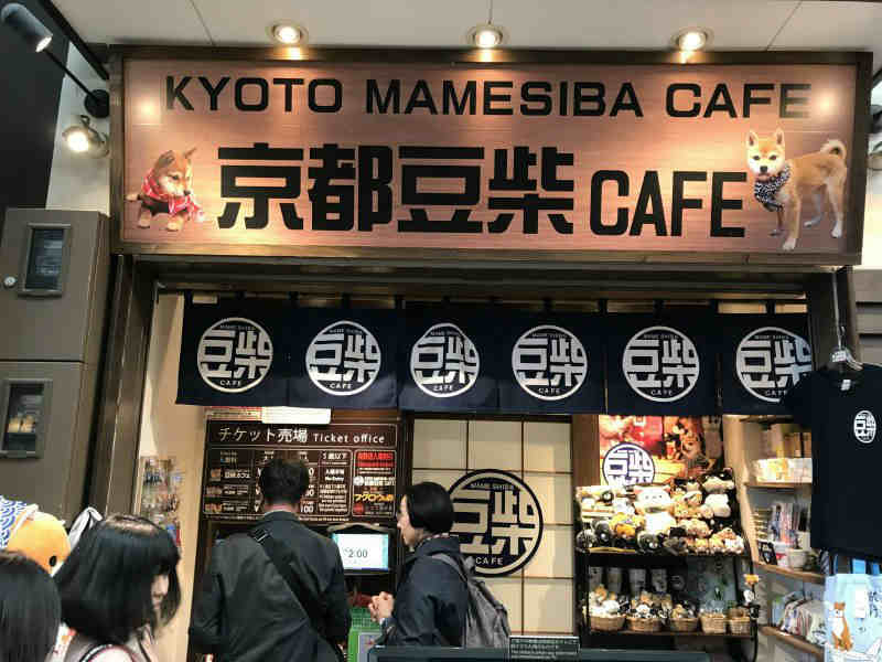 1109-Private-Tour-from-Osaka-to-Kyoto-Mameshiba-Cafe