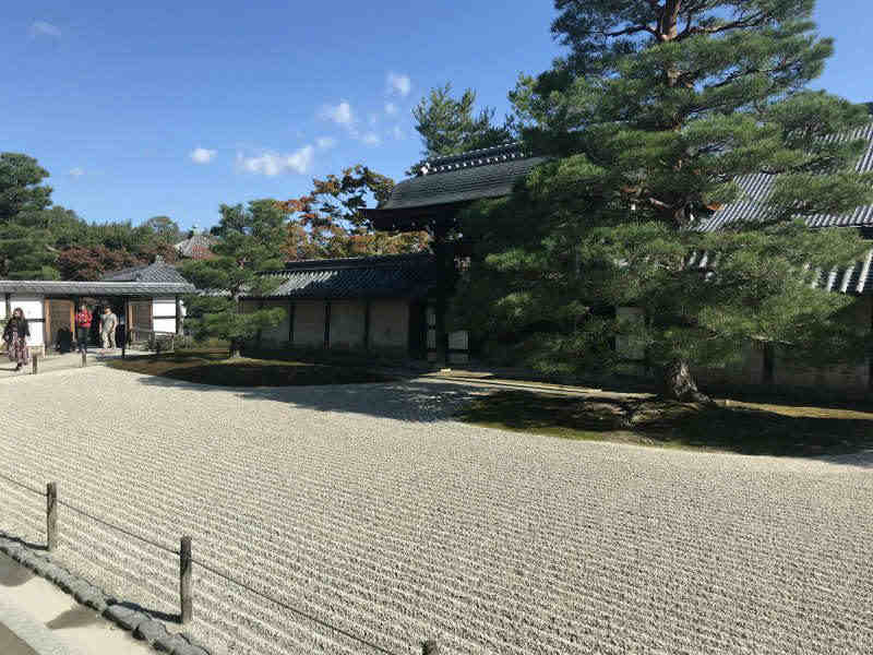 1110-Private-Tour-from-Osaka-to-Kyoto-Arashiyama-Tenryuji