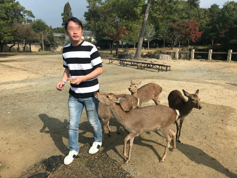1111-Private-Tour-from-Osaka-to-Nara-Park-Deer-by-Taxi2