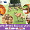 cruise-excursion-kyoto-and-nara-essential-charter-main