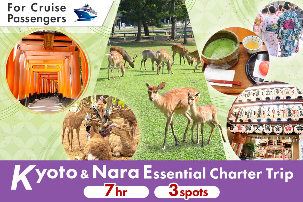 cruise-excursion-kyoto-and-nara-essential-charter-main