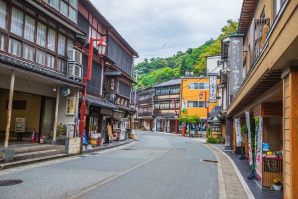 Osaka city and Kinosaki Onsen (Hotspring) Private Transfer
