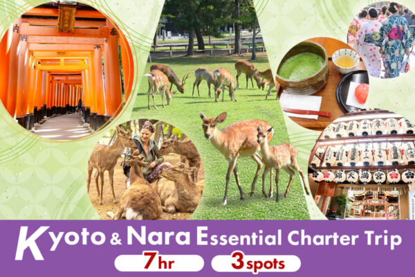 Kyoto & Nara Essential Charter from Osaka Hotel (7 Hours)