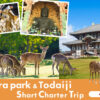 nara_park_todaiji_short_charter_trip-main