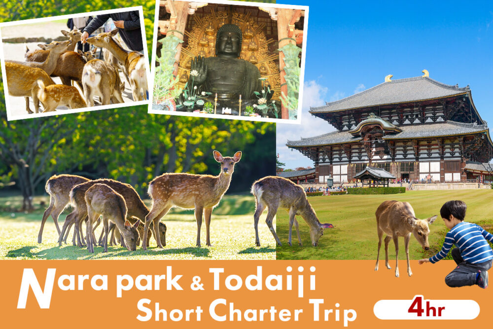 nara_park_todaiji_short_charter_trip-main